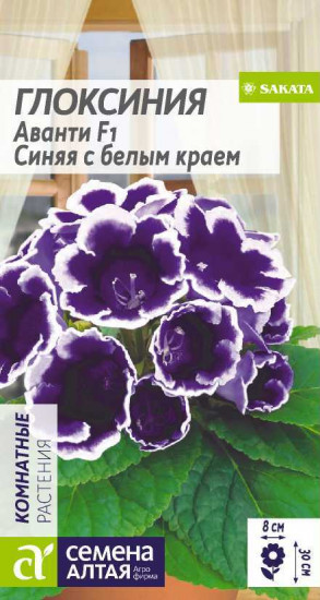 Глоксиния «Аванти синяя F1»