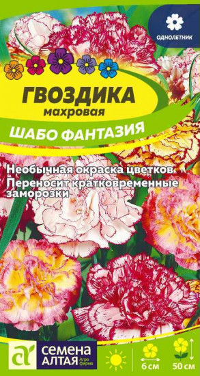 Гвоздика «Фантазия смесь»