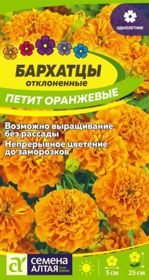 Бархатцы «Петит оранжевые»