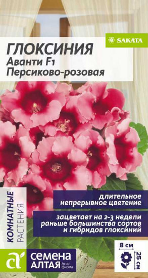 Глоксиния «Аванти Персиково-розовая F1»