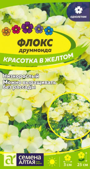 Флокс «Красотка в желтом»