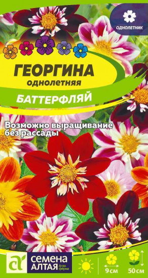 Георгина «Баттерфляй»