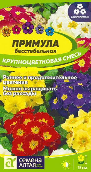 Примула «Крупноцветковая смесь»