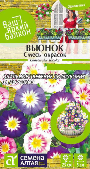 Вьюнок трёхцветный «Смесь окрасок»
