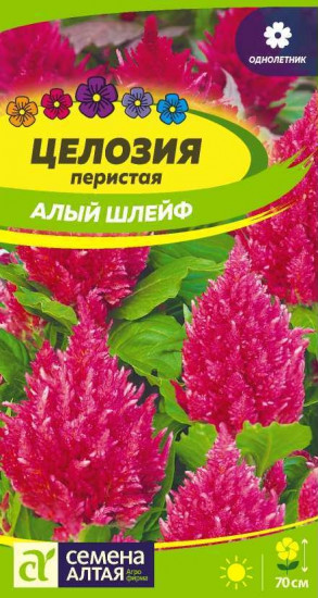 Целозия перистая «Алый шлейф»