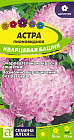 Астра «Кварцевая башня»
