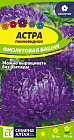 Астра «Фиолетовая башня»