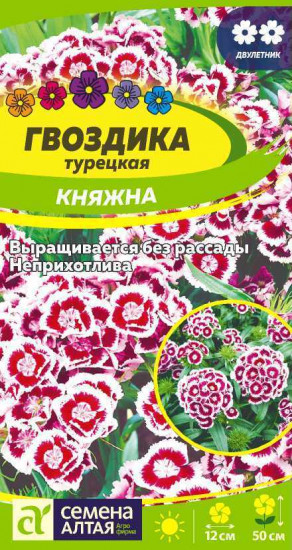 Гвоздика «Княжна турецкая»