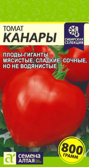 Томат «Канары»