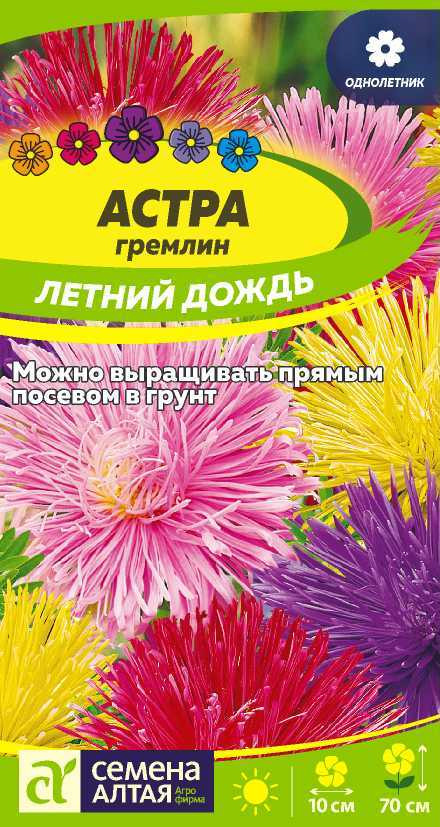 Астра гремлин «Летний дождь» | Семена Алтая