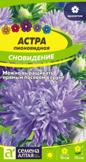 Астра «Сновидение»