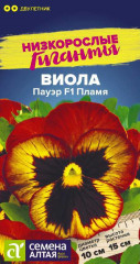 Виола «Пауэр F1 Пламя»