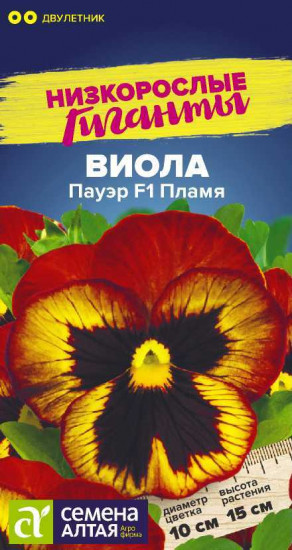 Виола «Пауэр F1 Пламя»