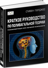 Краткое руководство по поливагальной теории