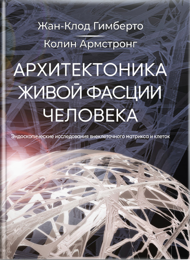 Архитектоника живой фасции человека