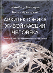 Архитектоника живой фасции человека