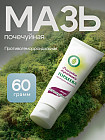 Мазь «Почечуйная»