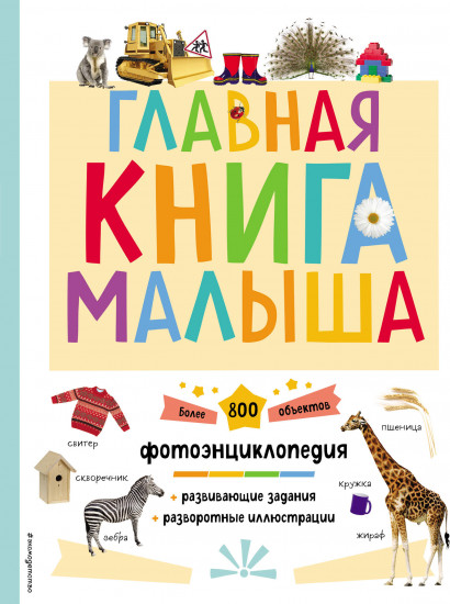 Главная книга малыша
