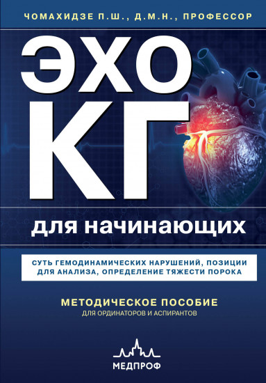 Эхокардиография для начинающих