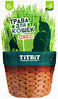 Трава для кошек «Овес»