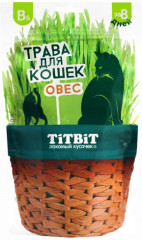 Трава для кошек «Овес»
