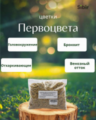 Первоцвета цветки