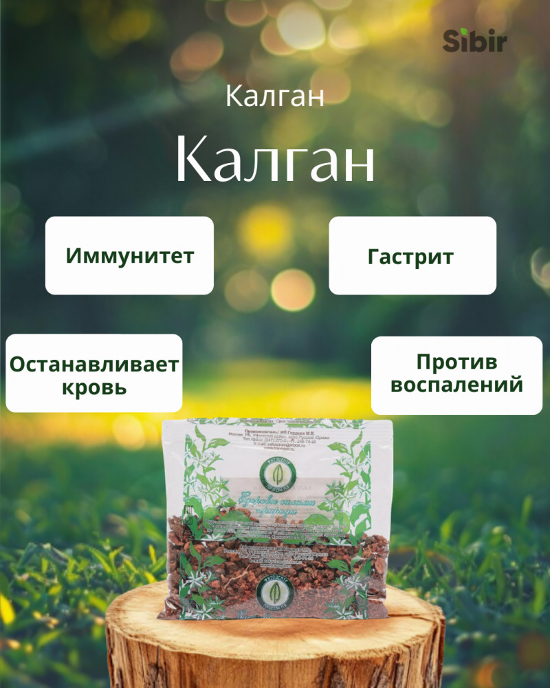 Барбарис обыкновенный | Травник Гордеев