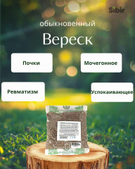 Вереск обыкновенный
