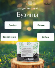 Бузины черной плоды