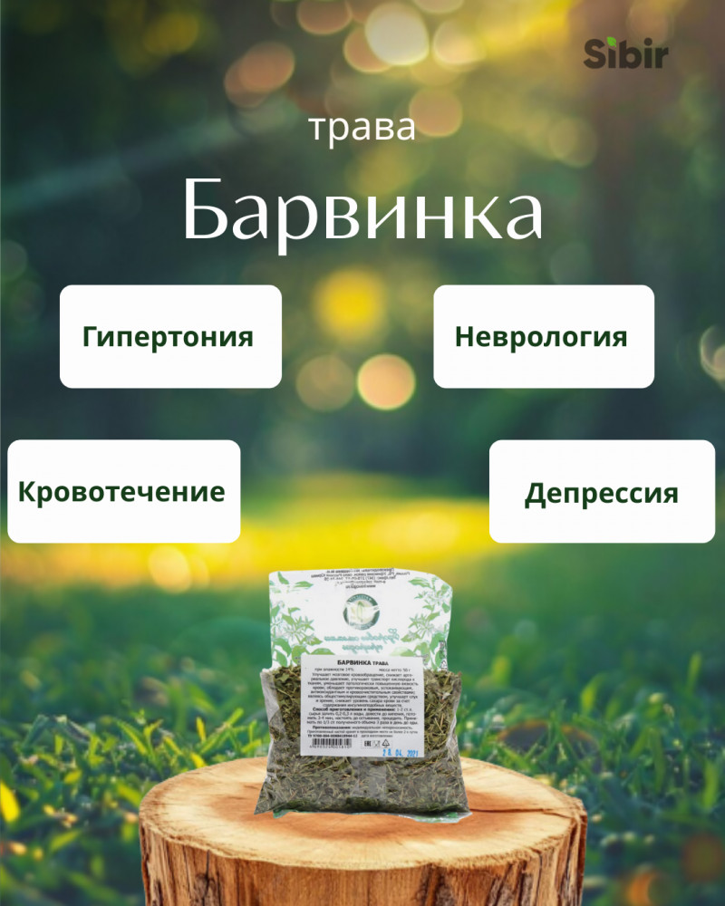 Барвинка трава | Травник Гордеев