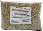 Соссюреи трава