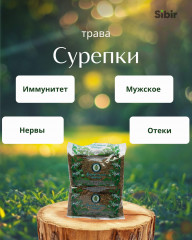 Сурепки трава