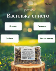 Василька синего цветки