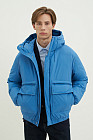 180 blue aster