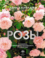 Розы