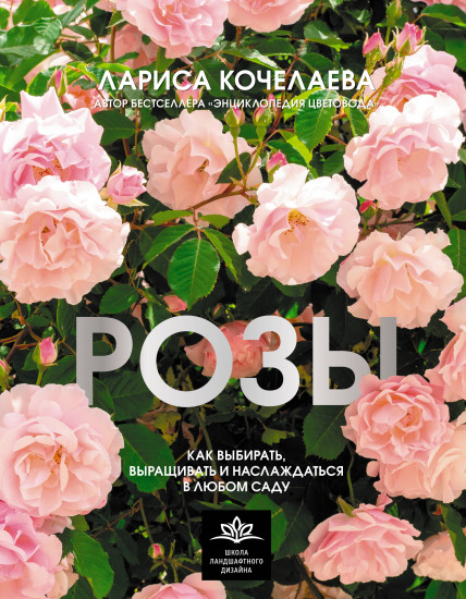 Розы