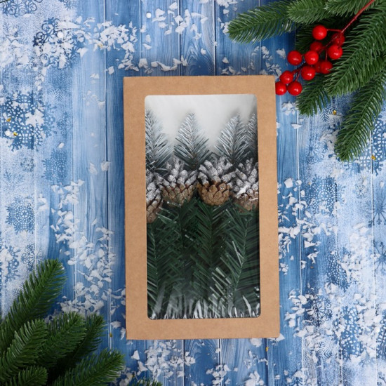 Набор новогодний №1