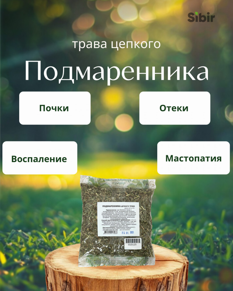 Подмаренника цепкого трава | Травник Гордеев