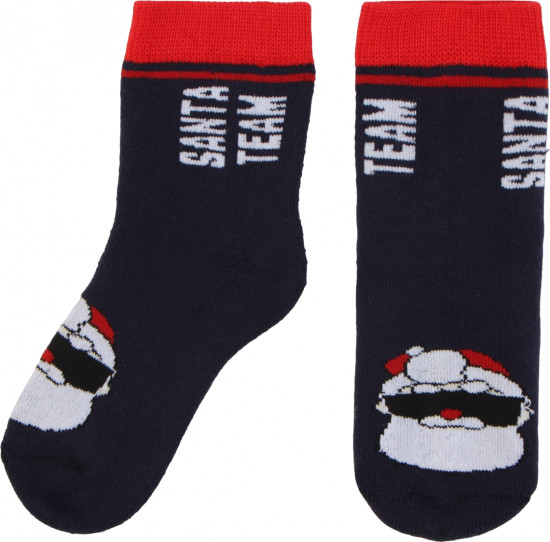 Носки детские «Santa»