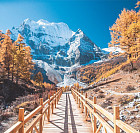 Фотообои «Красочная осень»