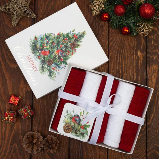 Набор полотенец «Merry christmas»