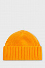 403 apricot