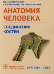 Анатомия человека