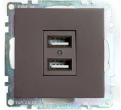 Розетка USB двухместная