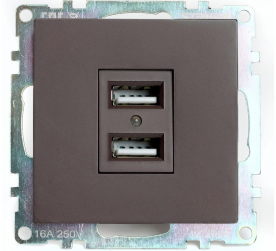 Розетка USB двухместная
