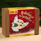 Набор подарочный «Новогодус Поздравлятус»