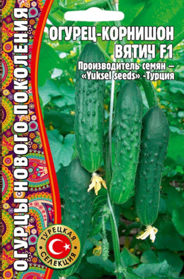 Семена. Огурец «Вятич F1»