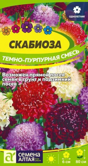 Семена «Скабиоза темно-пурпурная смесь»