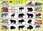 Развивающее лото &quot;Дикие животные&quot;