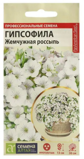 Гипсофила «Жемчужная россыпь» ясколковидная